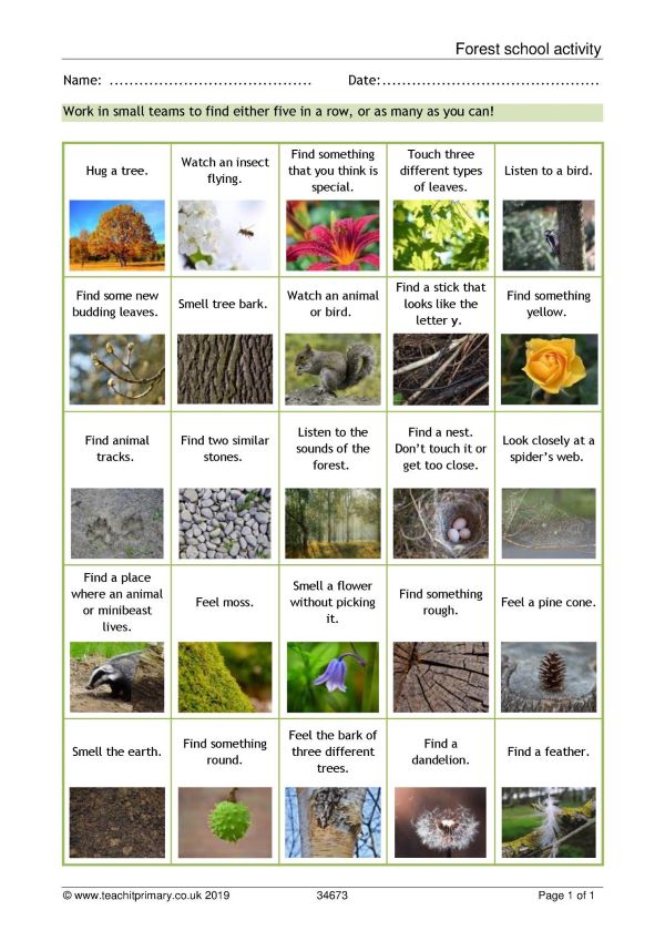 Teachit forest school four in a row activity