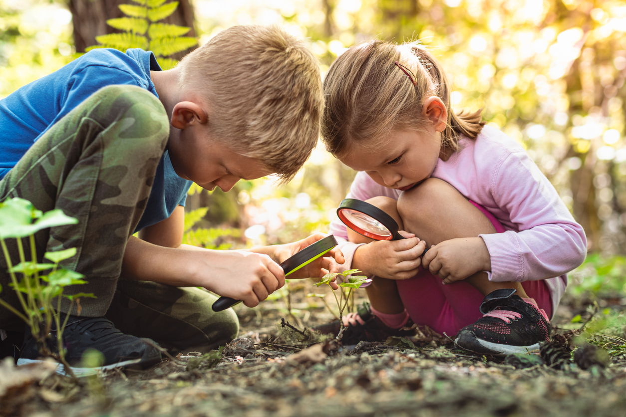 Children exploring plants in forest school