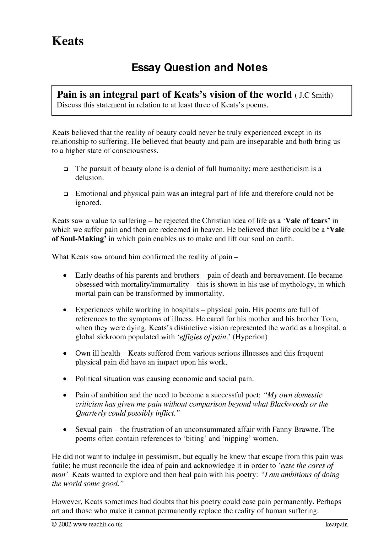 Essay
